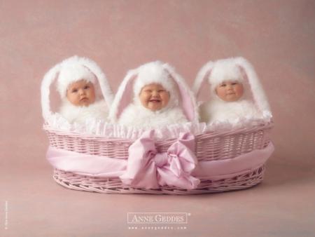 3 petite lapins