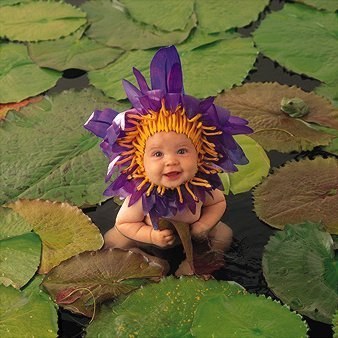anne geddes 2